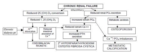 Renal Osteodystrophy And Rickets Dentmistry