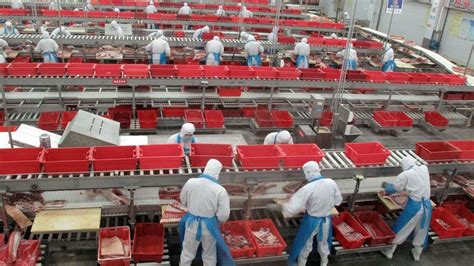 Chinese Owned Pork Producer Smithfield Prepares For U S Listing