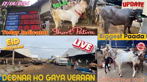 Deonar Bakra Mandi Latest Update Today 17 06 2024 Bakra Eid Vlog