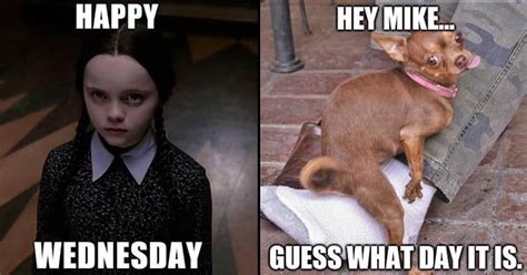 23 Wednesday Humpday Memes Thatll Crush Your Weekend Dreams Funny