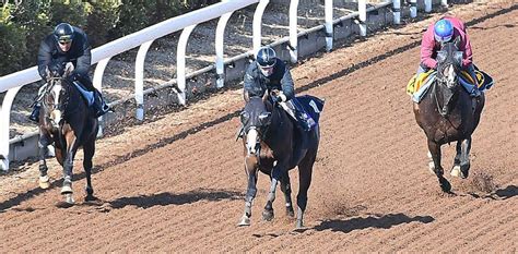 【フェブラリーs】テイエムサウスダン 闘魂点火 ブリンカー効果で最後まで集中 競馬ニュース Netkeiba