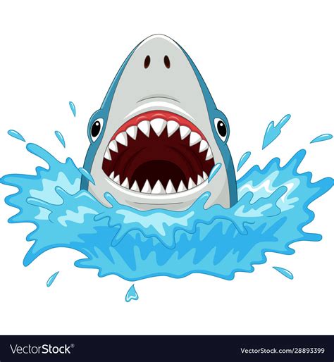 Cartoon Shark Mouth Drawing