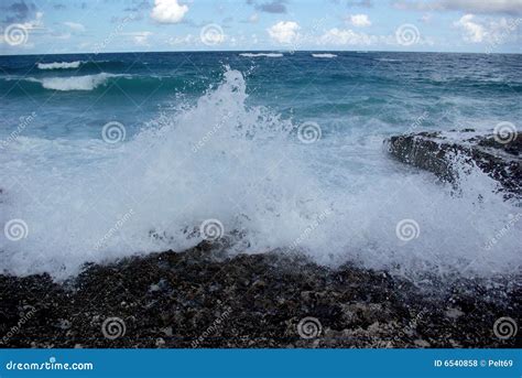 Ondas Que Quebram Na Praia Foto De Stock Imagem De Pot Ncia