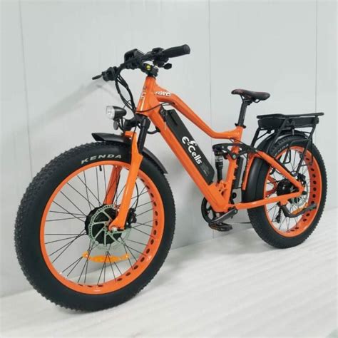 E Cells Bikes Dual Motor Electric Bike E Bike Manufacturer