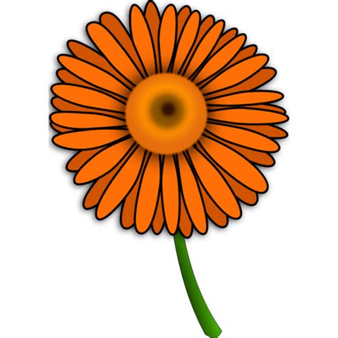 Transvaal Daisy Public Domain Vectors