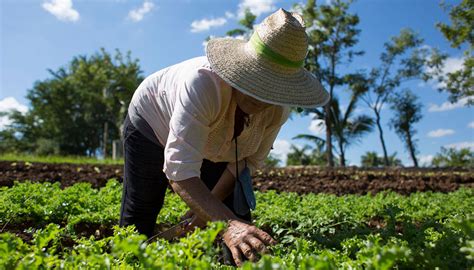 El Inta Abri Una Capacitaci N Gratuita Sobre Agroecolog A Infocampo