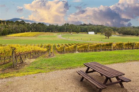 5 Best Wineries Near Melbourne Where To Find Melbournes Best