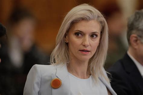 Alina Gorghiu Ministerul Justiţiei are pe agendă tema fugarilor ca