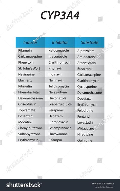 Cytochrome Cyp3a4 Table Inhibitors Inducers Substrates Stock Vector (Royalty Free) 2293686015 ...