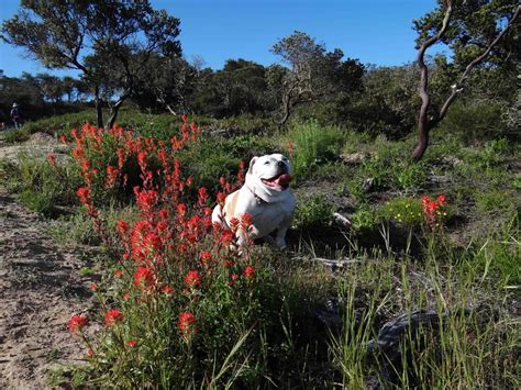 Fort Ord National Monument