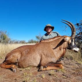 African Hunting Images Boschnel Safaris