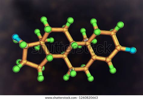 Testosterone Primary Sex Hormone Men Anabolic Stock Illustration