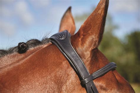 Four Anatomical Bridles From Comfitec™ Designed With Horse Anatomy In