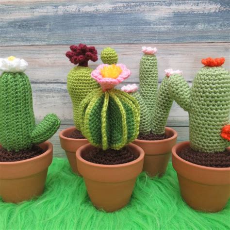 FIVE Crochet Cacti Bundle PDF Pattern For Experienced Beginners