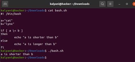 Bash Scripting Symbols