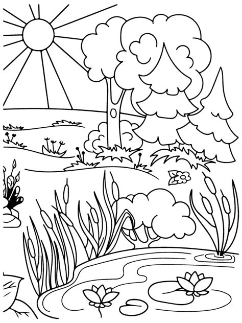 Forest Coloring Pages Free Printable Coloring Pages For Kids