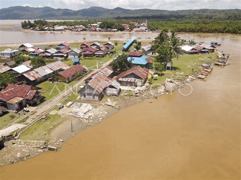 DESA TERANCAM HILANG AKIBAT ABRASI SUNGAI KONAWEHA ANTARA Foto