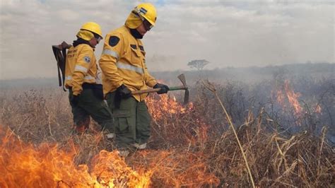 Fuego En El Delta Del Paraná Y Humo En Buenos Aires Efectos De Un