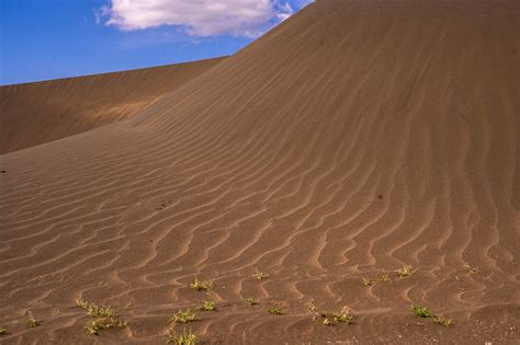 Shifting Sands Ngorongoro Conservation Area Authority NCAA