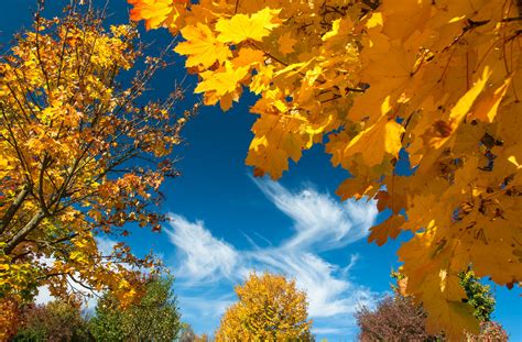 Herbstfarben Foto And Bild Jahreszeiten Herbst Blau Bilder Auf