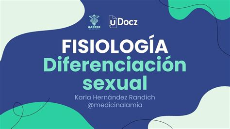 Diferenciaci N Sexual Harper Navarro Udocz