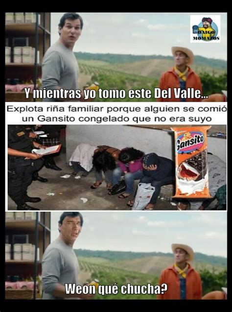 Ese Era Mi Gansito Meme Subido Por Daigomomazos Memedroid