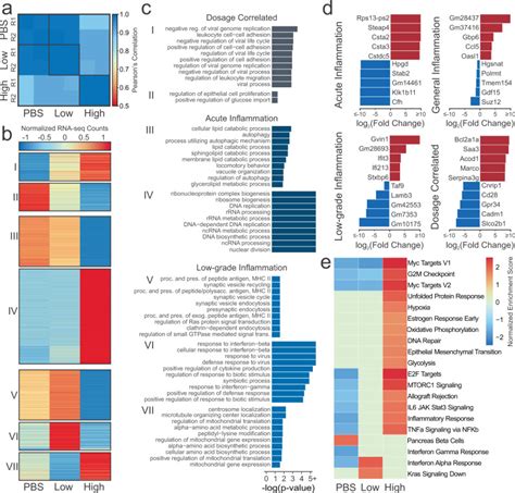 Epigenomic And Transcriptomic Analyses Reveal Differences Between Low