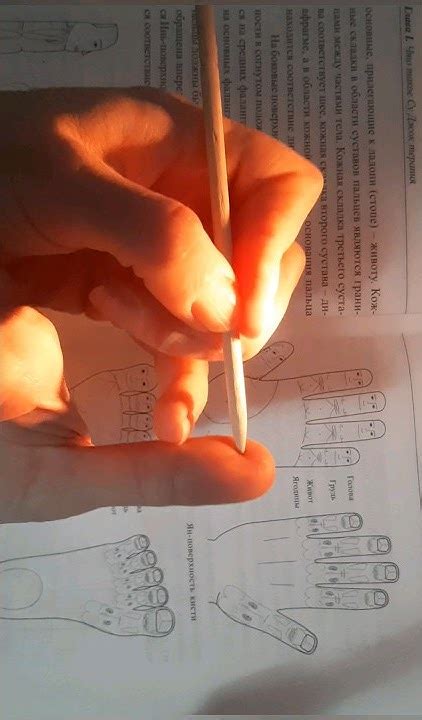 Су джок Семянотерапия🌿 при коньюктивите и других заболеваниях глаз. # ...