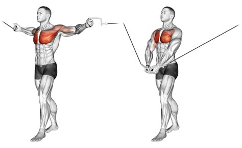 Best Chest Exercises Workouts For Men Boss Hunting