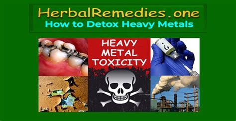 Natural Heavy Metal Detox Plan