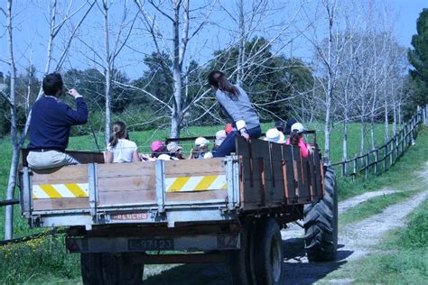 Colegio Valle Dos Principes Visita Quinta