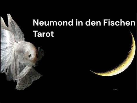 M Rz M Rz Neumond In Den Fischen Tarot Reading Live