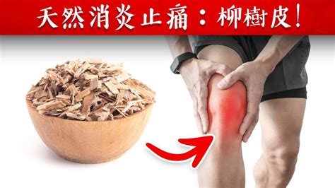 第一名消炎止痛草藥自然療法柏格醫生 Dr Berg Youtube