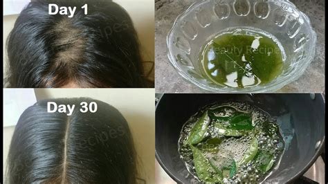 Homemade Curry Leaves Hair Oil For Double Hair Growth Turn Thin Hair