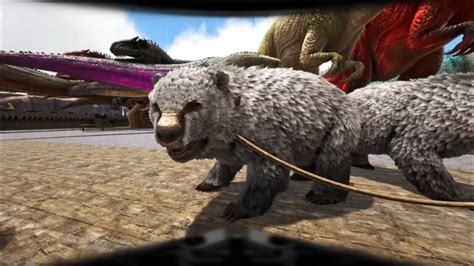 Ark Ragnarok Dire Polar Bear Location And Taming Guide