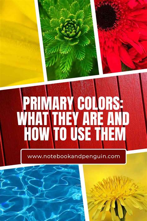 Primary Colors: What They Are And How To Use Them