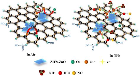 Schematic Of Sensing Mechanism Of The ZIF8 ZnO RGO Sensor A In Air And