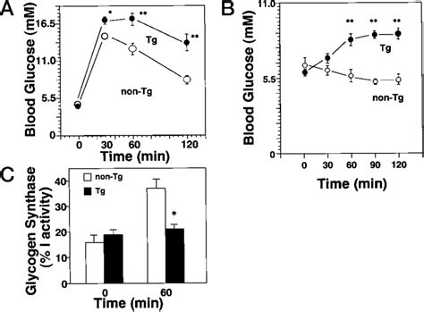 Glucose Intolerance And Insulin Resistance In Tg Mice A Time Course