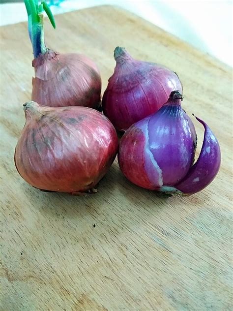 Cutting Board Shallot Purple Free Photo On Pixabay Pixabay