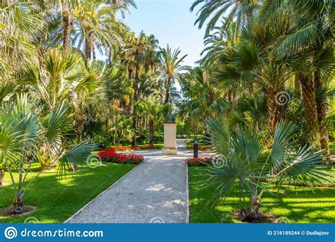 Statue of Jaime I at Huerto Del Cura Garden in Elche, Spain Stock Photo - Image of bust, summer ...