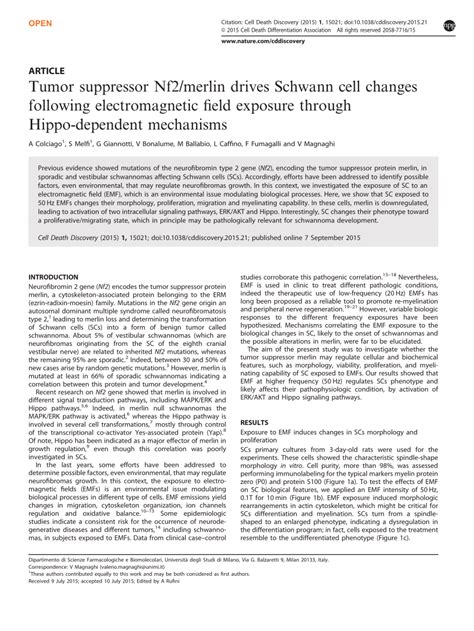 PDF Tumor Suppressor Nf2 Merlin Drives Schwann Cell Changes Following