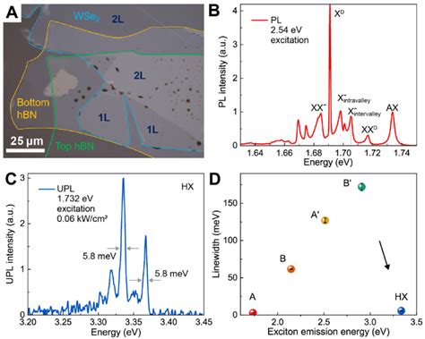 Fig S A Optical Microscopic Image Of The Hbn Encapsulated Wse