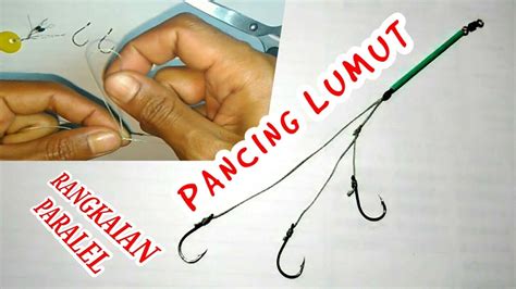 Tutorial Cara Membuat Pancing Umpan Lumut Ikan Nila Mujahir