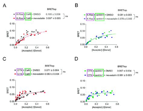 Inhibition Of Prenylation By Mevastatin Does Not Disrupt Bret Between