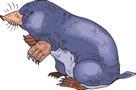Explore 79 Free Mole Illustrations Download Now Pixabay