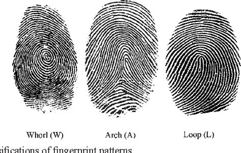 Main Fingerprint Patterns Khan Academy Excel Tutorial