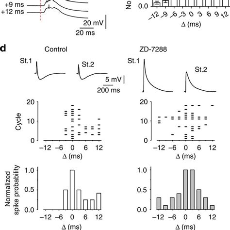 Ih block abolishes the hyperpolarizing phase of the EPSP–IPSP ...