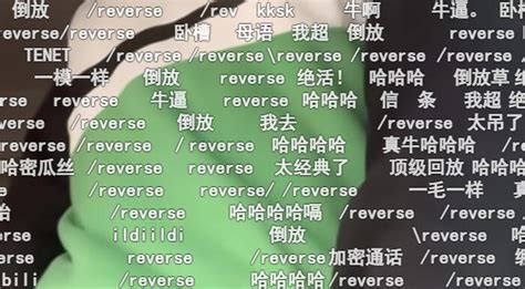 Reverse什么梗 弹幕在假装执行倒放指令 弹幕秀