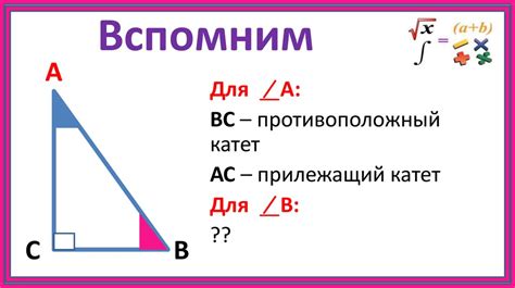 Тригонометрические функции острого угла прямоугольного треугольника ...