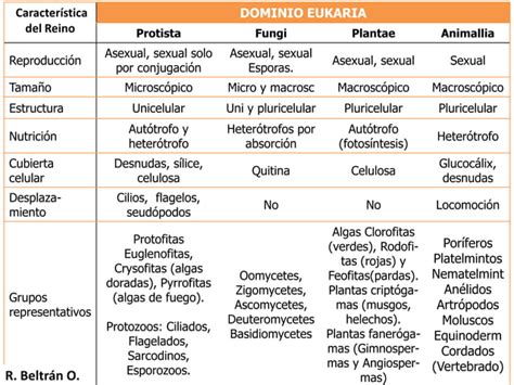 Clasificación De Carl Woese 1990